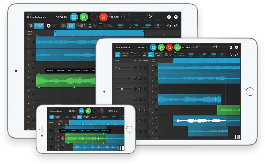 Retronyms — Looperverse, the Ultimate Looper Pedal